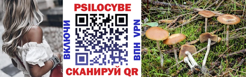 blacksprut рабочий сайт Азов Галлюциногенные грибы Psilocybine cubensis